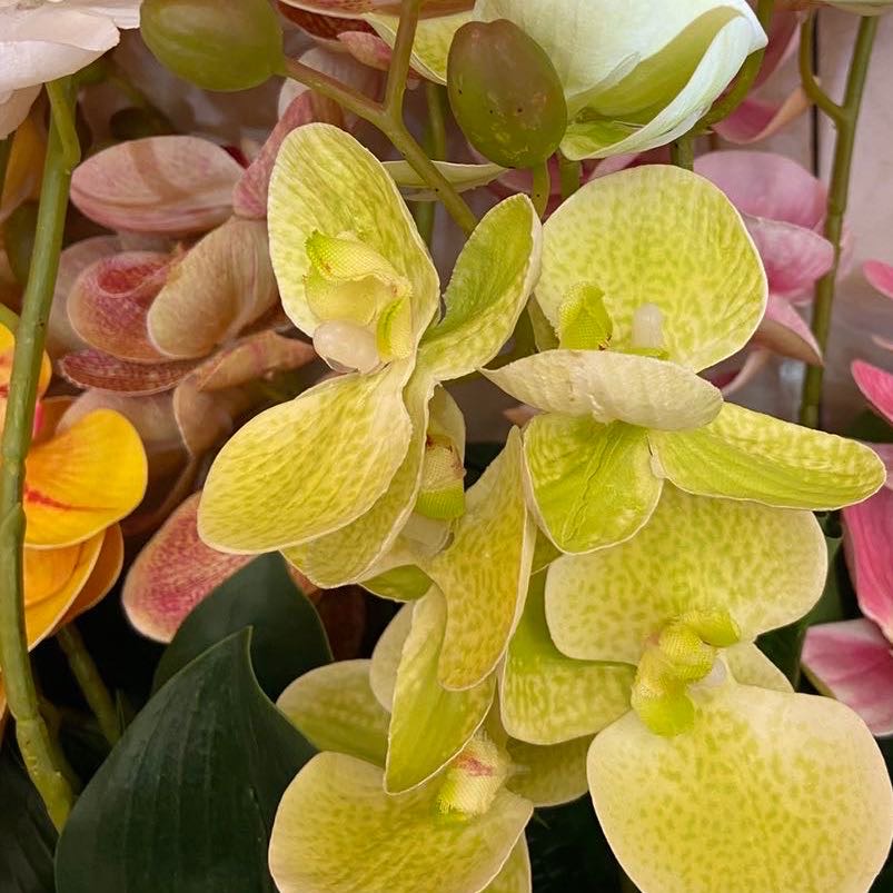 The 12-head Phalaenopsis flower arrangement, artificial flower plant bonsai, wedding decoration, INS style flower wall, high quality Specification image