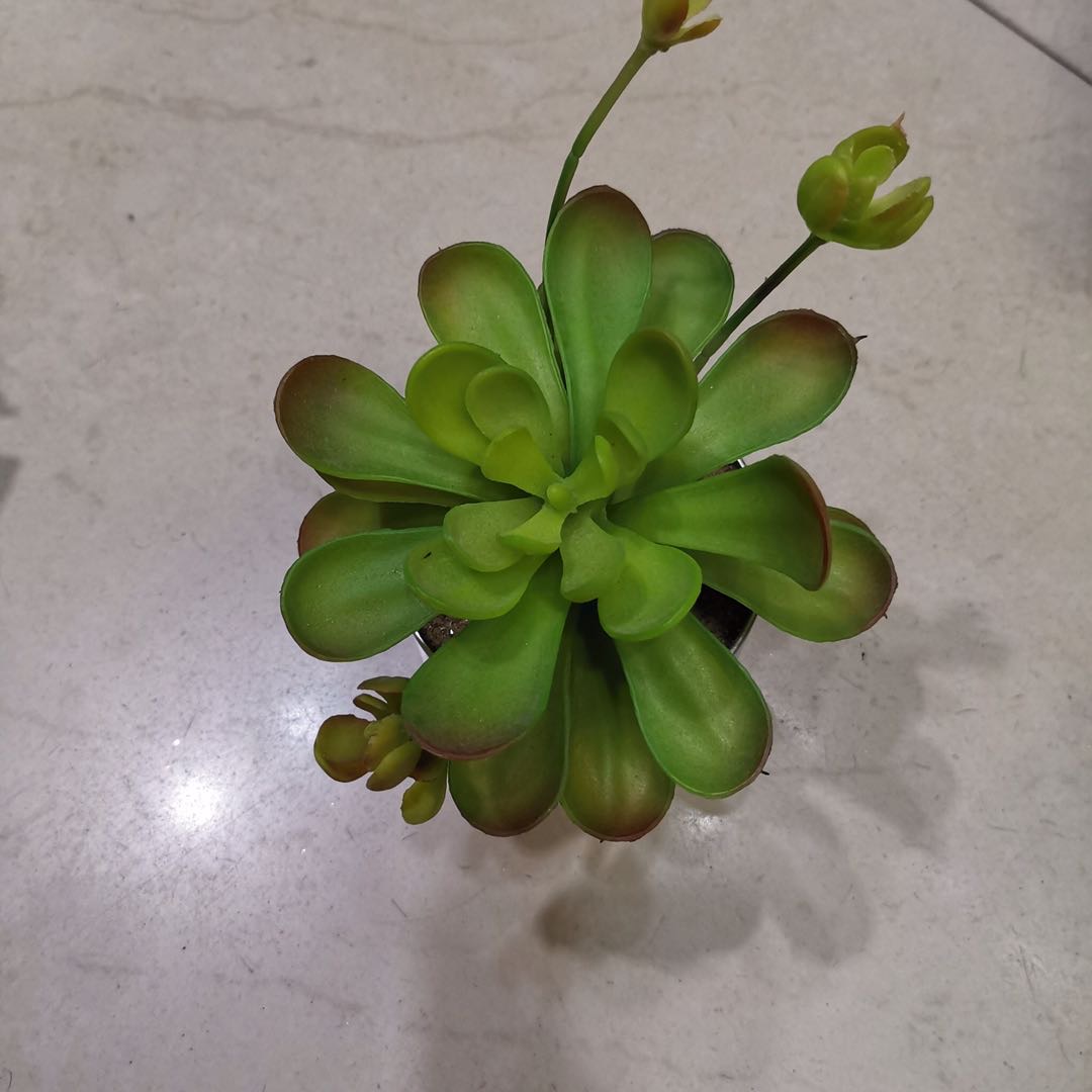 Plastic iron bucket succulent simulation pastoral fresh and clean home decoration details Picture