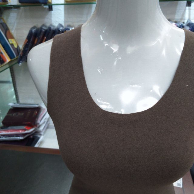 Thermal Vest For Women With Fleece Thickened Autumn And Winter Thermal Underwear Thermal Top With Undergarment Waistcoat details Picture