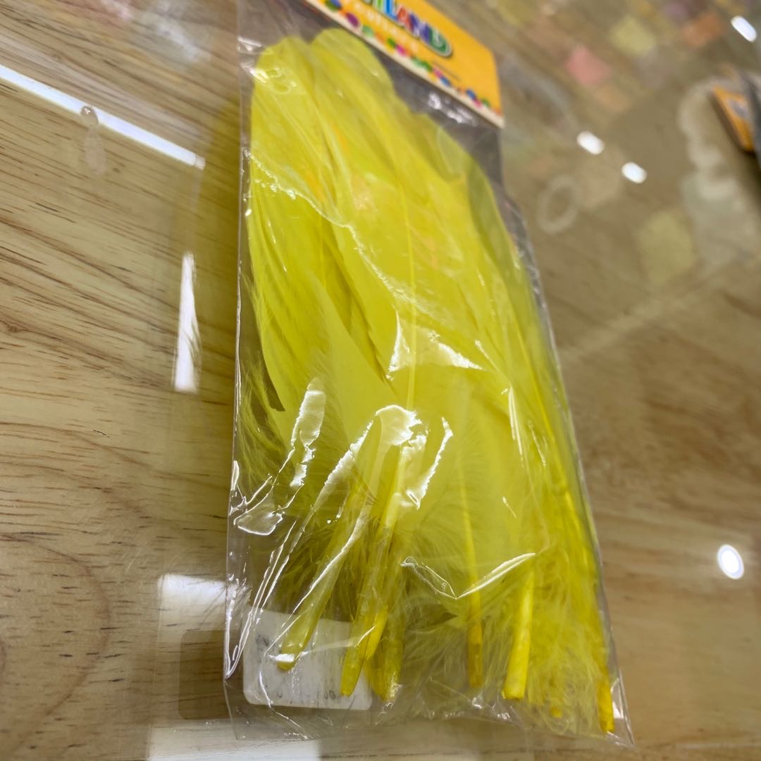 鸟类羽毛/染色羽毛产品图