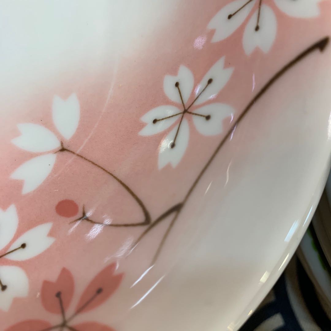 日本进口日本制美浓烧白瓷盛樱系列白磁やよい桜详情图3