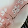 日本进口日本制美浓烧白瓷盛樱系列白磁やよい桜细节图