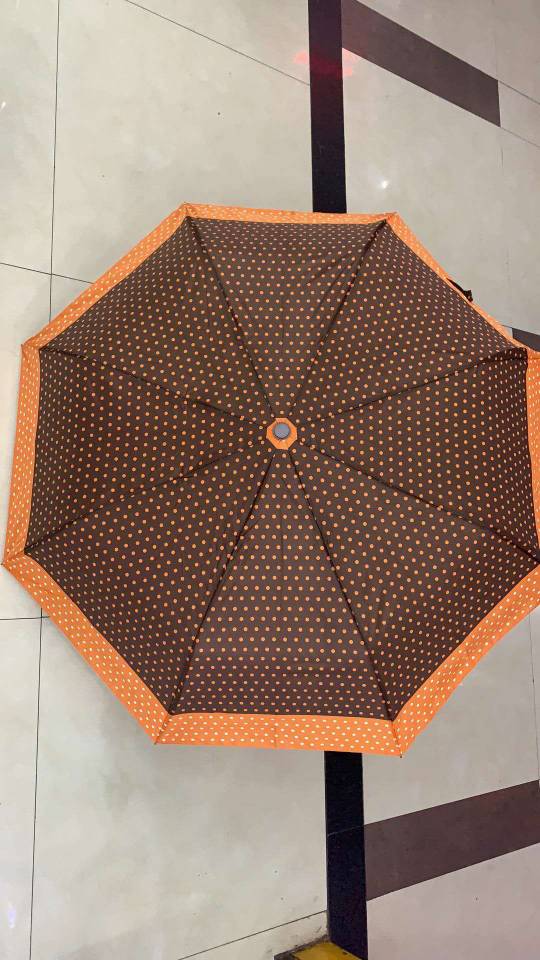 自动伞/雨伞/晴雨伞细节图