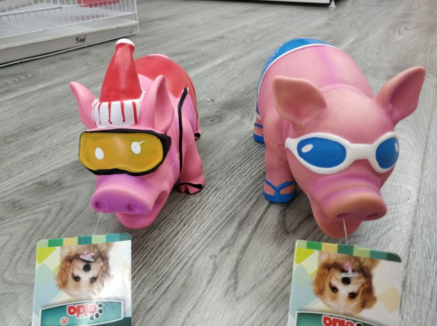 Latex pet toy pig