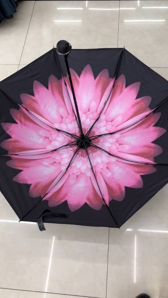Three-fold black vinyl ultra-light large-flower umbrella details Picture