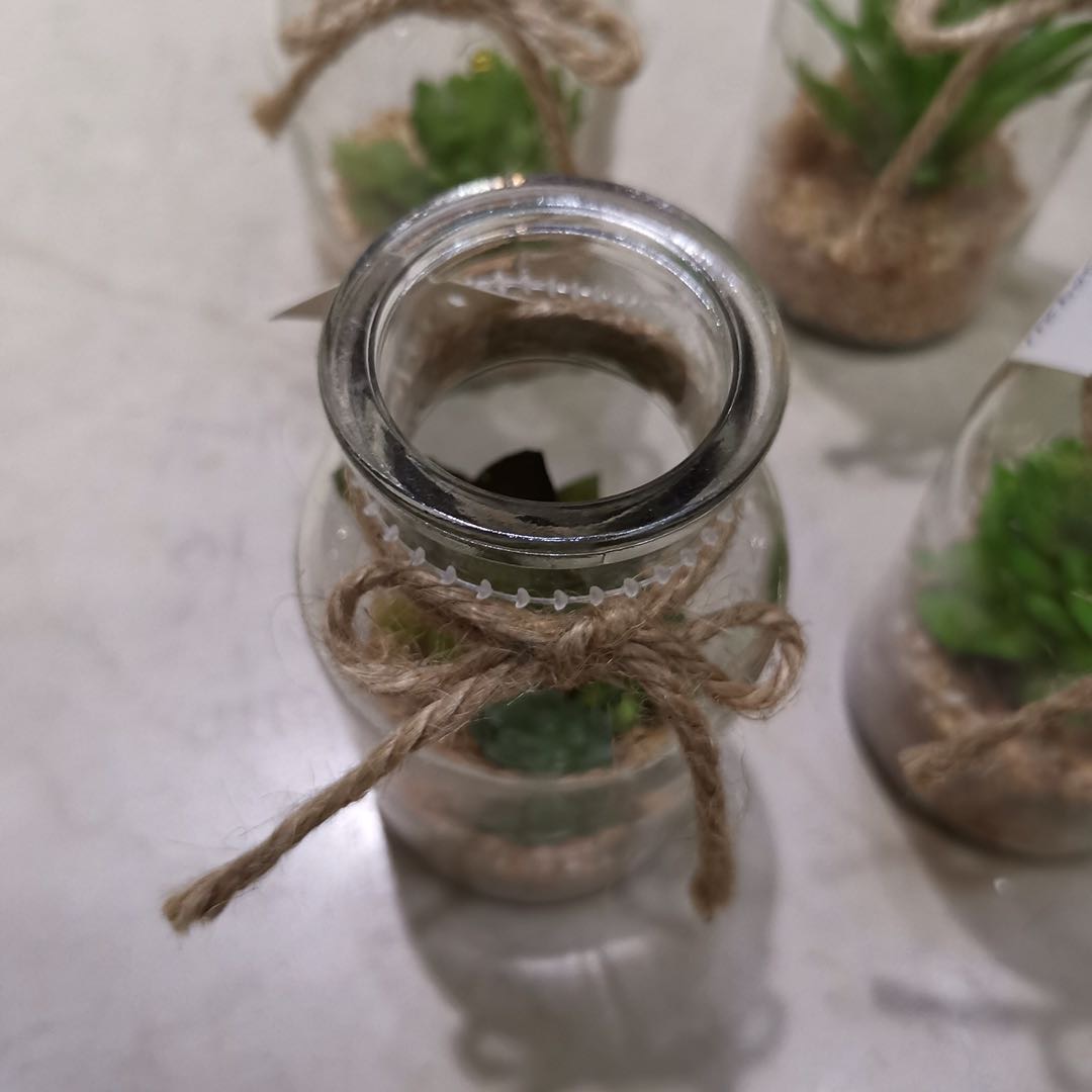 Plastic glass bottle imitation flower and succulent home photography decoration Specification image