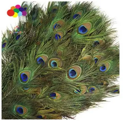 High Quality Pure Natural Peacock Wool India Import Quality Assurance 25-30Cm Spot Supply Manufacturers Direct Sales