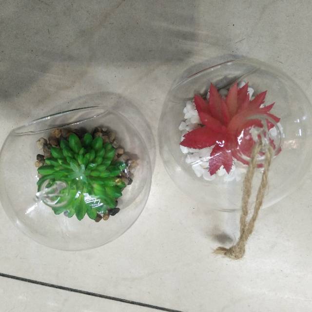 微景观玻璃瓶墙面房顶少女心挂件软妹房间装饰室内卧室布置吊饰品细节图