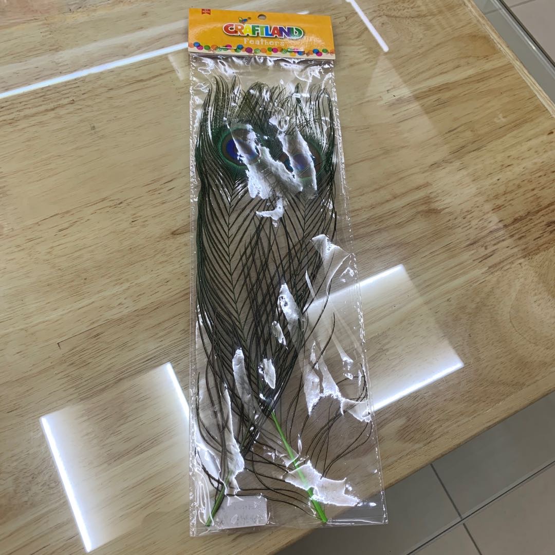 孔雀羽毛两只装色彩鲜艳艳丽