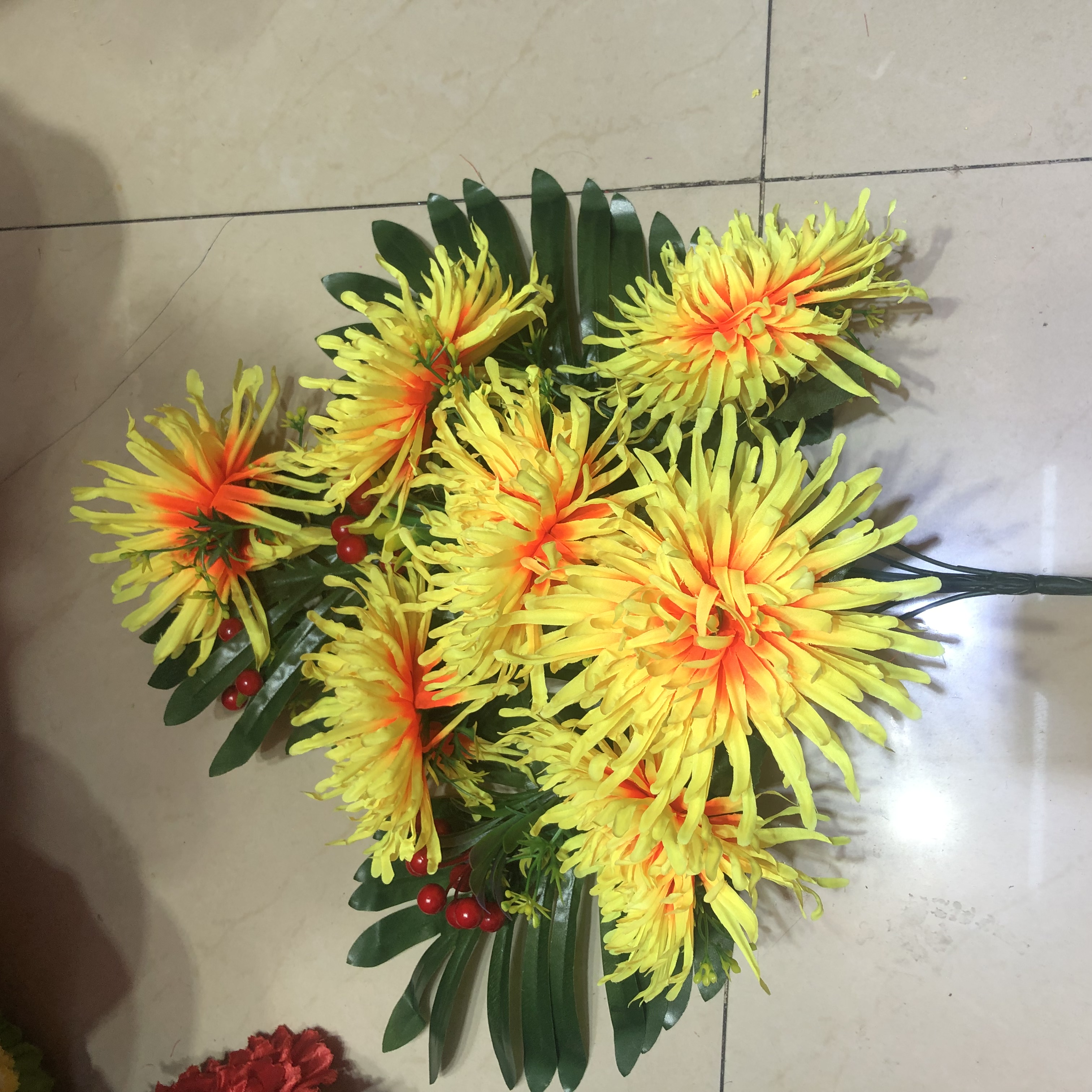 花卉霸王菊花盆栽多色荷兰菊带花苞发货千头菊多年生好养易活