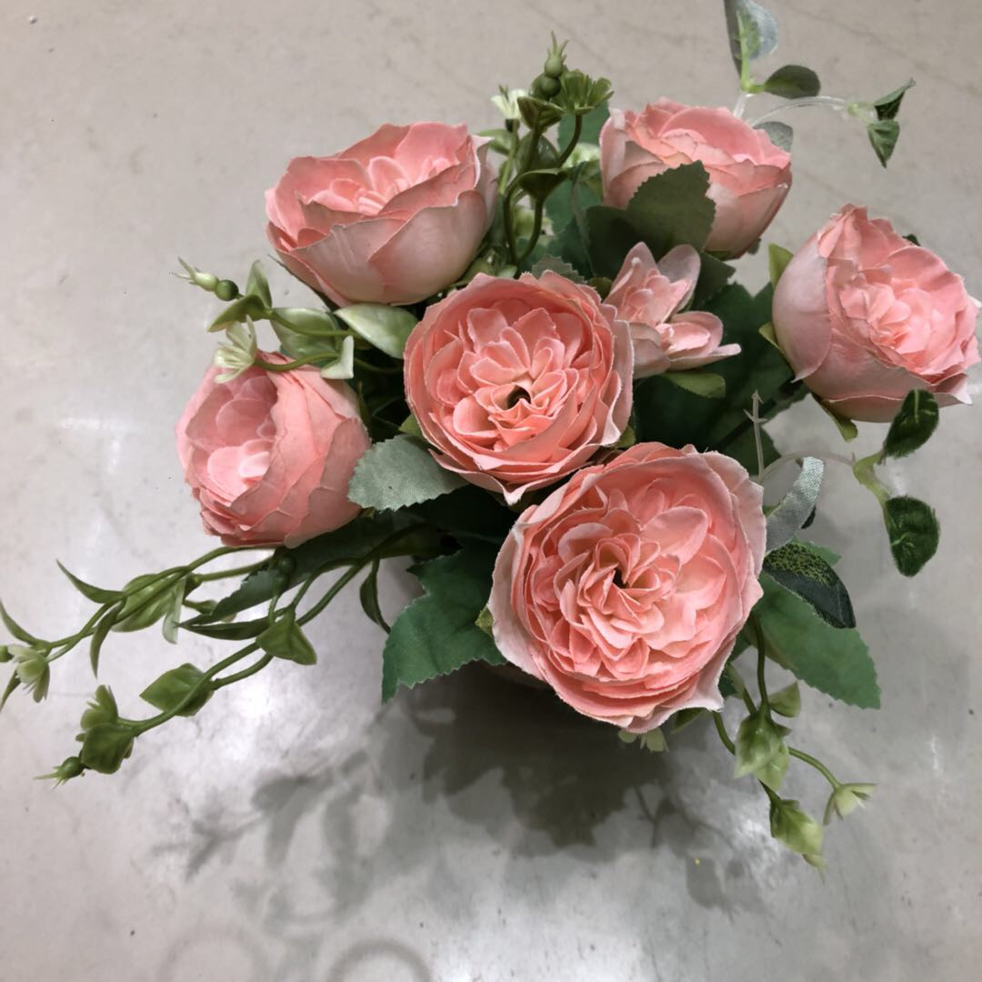 Simulated British Austin rose seedlings, Anick Castle balcony courtyard garden potted rose with large flowers and strong fragrance