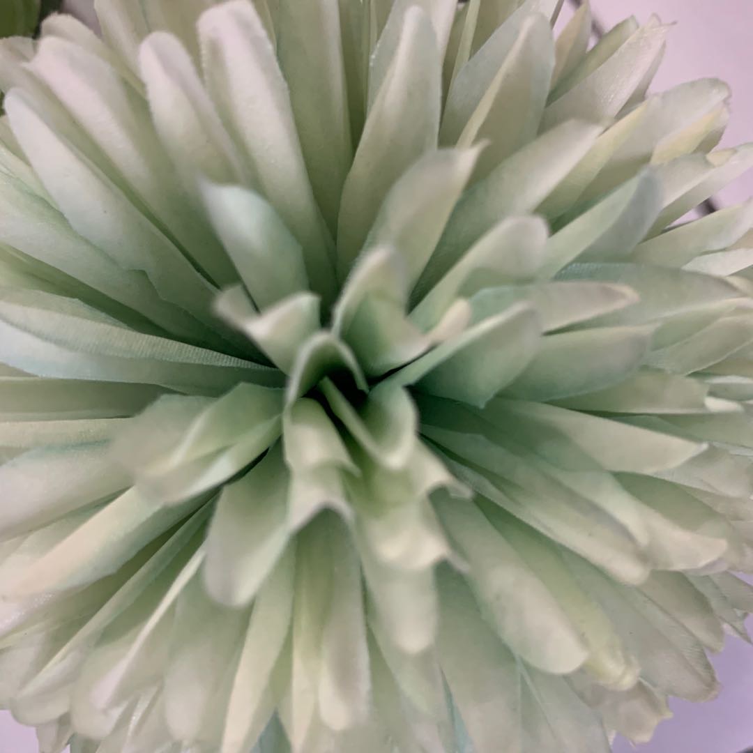 海洋相框/摆件/喷绘画/图片装饰画/全身镜产品图