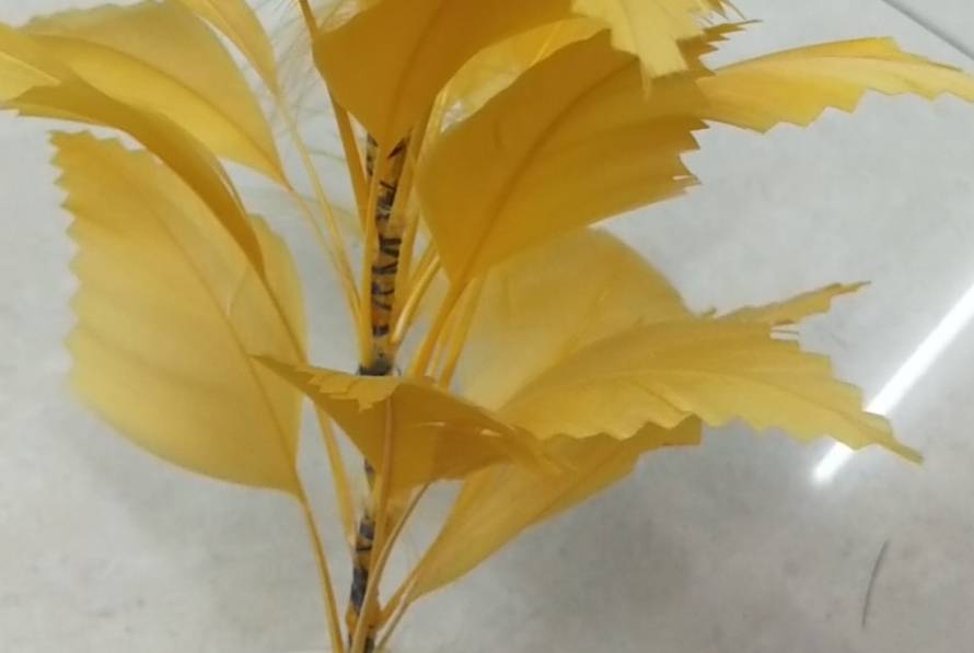 彩色撕大票布边布带服装舞蹈服拖尾diy装饰用羽毛产品图