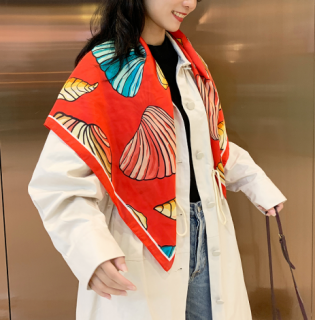 七彩扇贝细节图