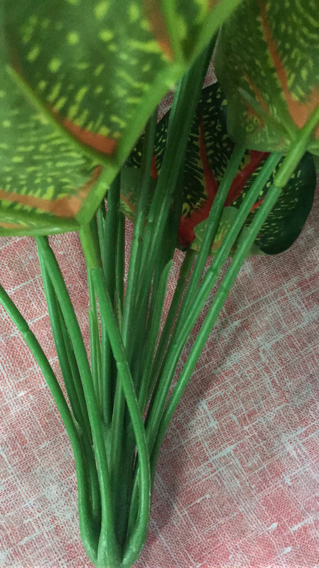 仿真多肉植物多肉组合室内塑料绿植装饰花摆件细节图
