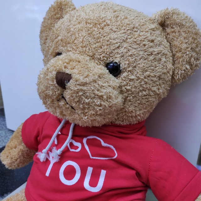 Factory direct sales of dressed brown bears, hug bears, teddy bear dolls, plush toys, bear dolls, and cloth dolls details Picture