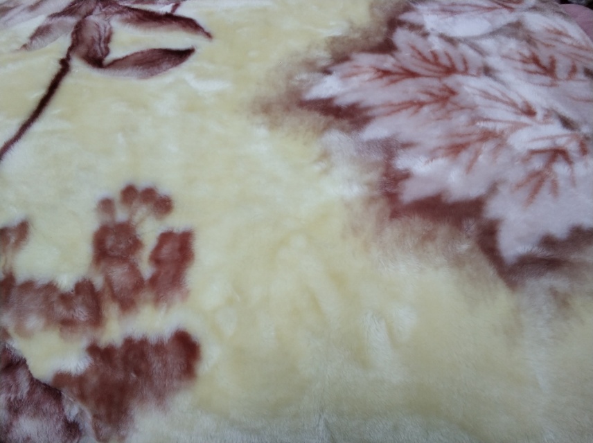 包边柔软毛毯法兰绒小毯子 珊瑚绒办公室午睡毯小盖毯盖被毛毯被