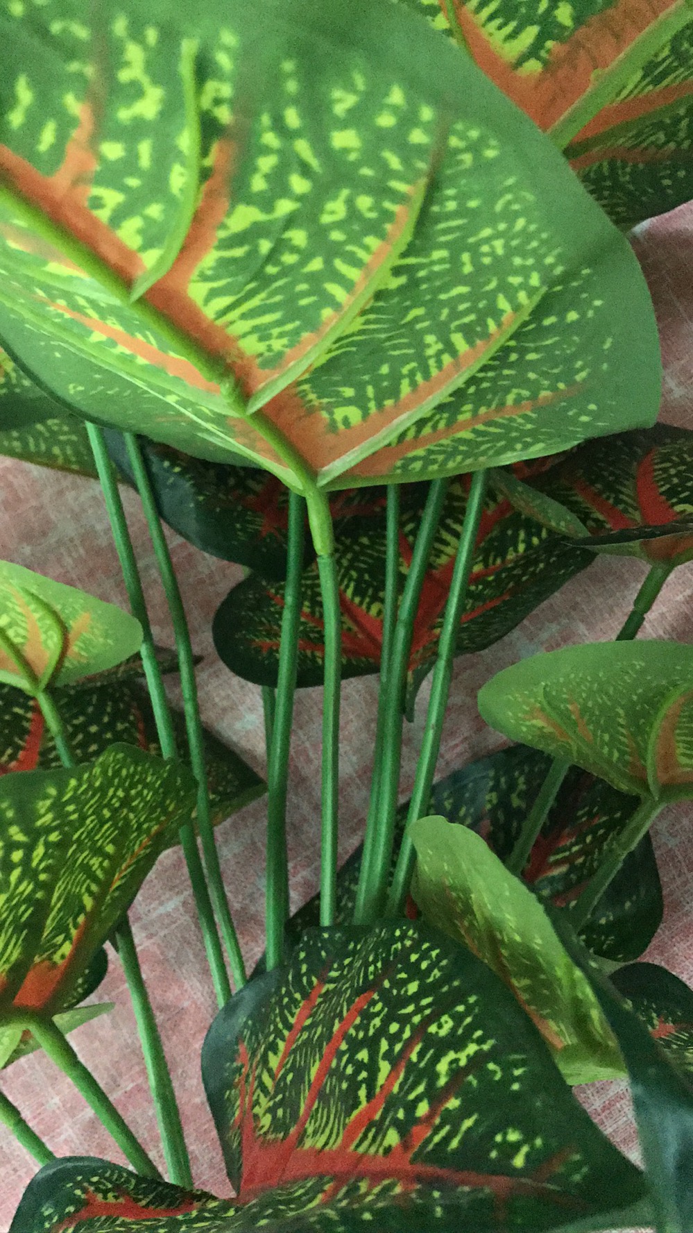 仿真多肉植物多肉组合室内塑料绿植装饰花摆件产品图