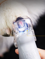 宠物发光LED指甲剪清洁用品细节图