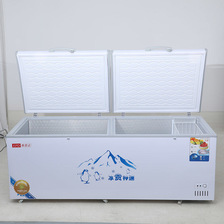 2020新款家用商用大冰柜 卧式商用节能冷柜冷冻柜单温双温冷藏柜