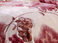 2020 New Plant Print Raschel Blanket Thickened Winter Blanket Double Blanket Specification drawing