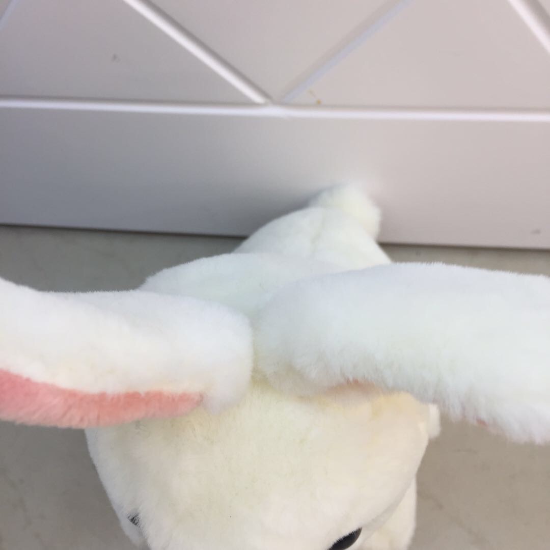 Direct sales of plush toys, small animals, dolls, cartoon dolls, large scarves, rabbit dreamy plush toys, booth 0777 Item Picture