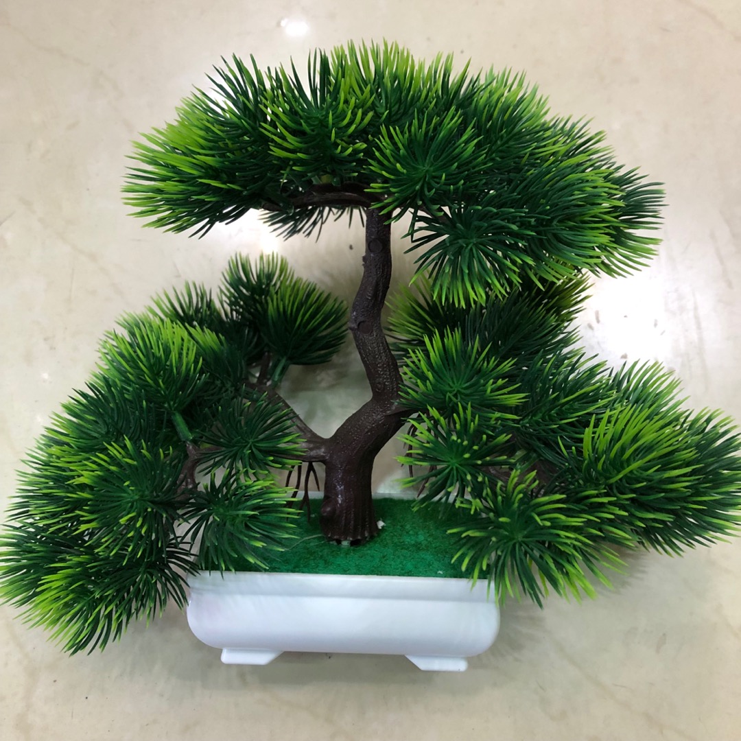 仿真植物灵芝榕小盆栽盆景摆件绿植假树装饰桌面摆设家居装饰假花