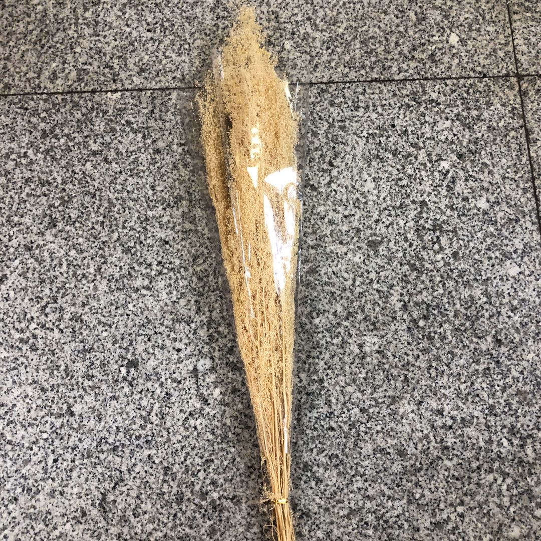 原色干花田园小稻谷花束植物天然真麦子婚庆装饰拍摄道具厂家直销