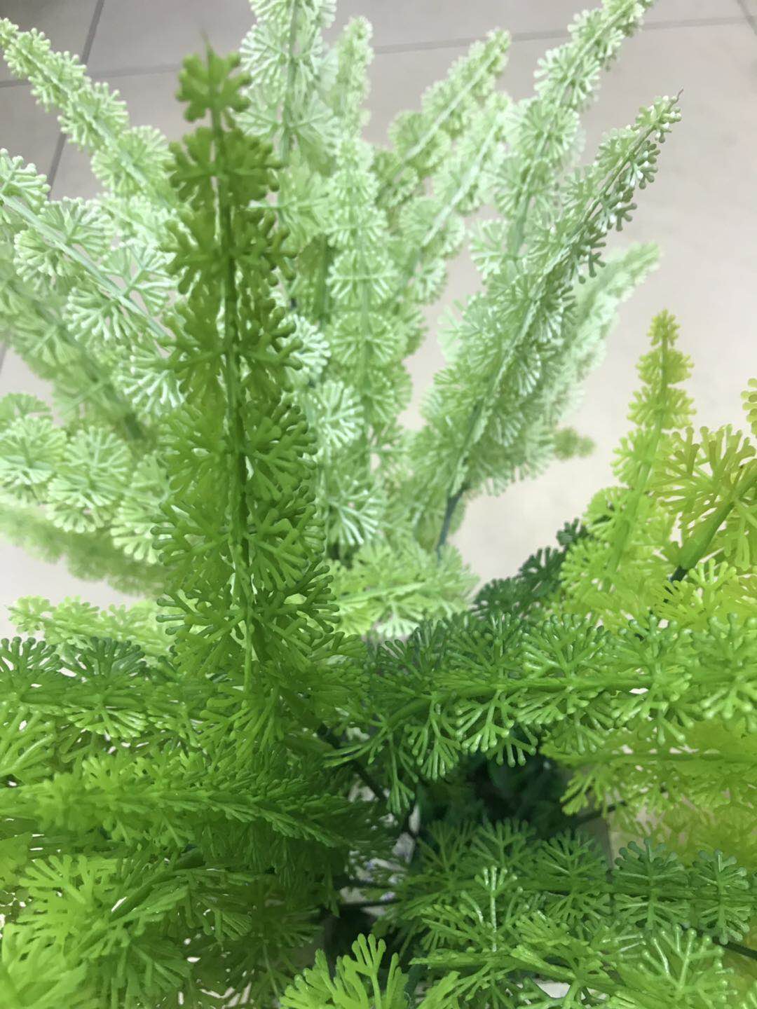 Wholesale of artificial plant PL947-5PG from Yiwu Lili Flower Shop details Picture