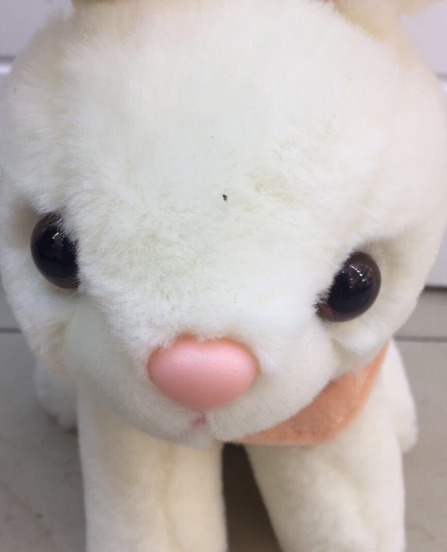 Direct sales of plush toys, small animals, dolls, cartoon dolls, large scarves, rabbit dreamy plush toys, booth 0777 Application Scenario