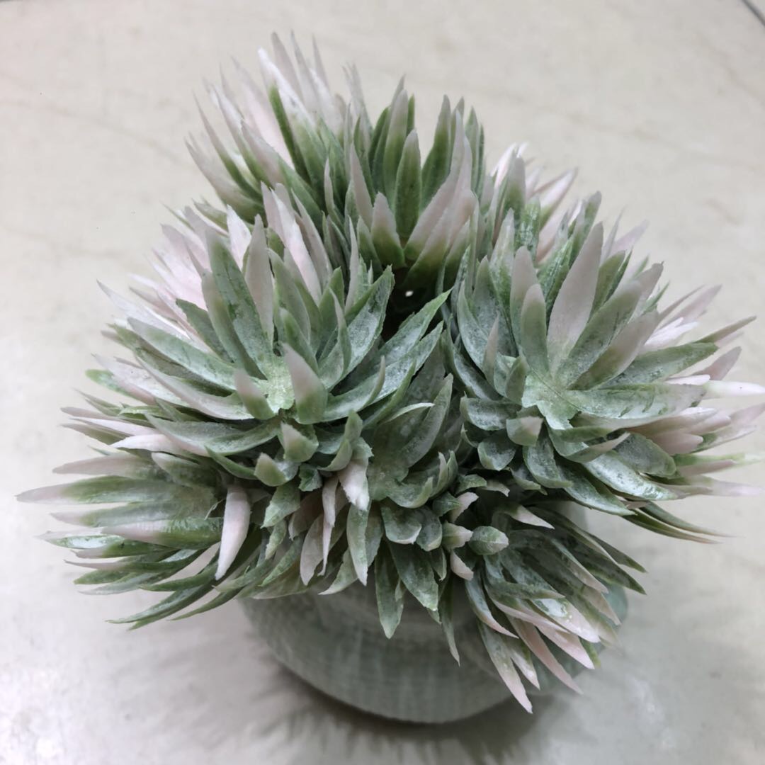 Artificial succulent plant potted plant, fine-leaf fairy cup, office potted plant decoration