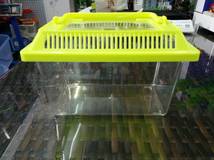 塑料透明小鱼乌龟宠物盒PE环保材质