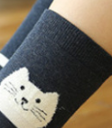 Japonés algodón azul blanco dibujos animados tridimensionales cat women calcetines mujeres medias fábrica directa details Picture