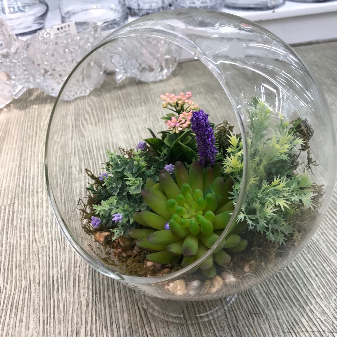 A small and fresh home decoration micro-landscape high borosilicate vase details Picture