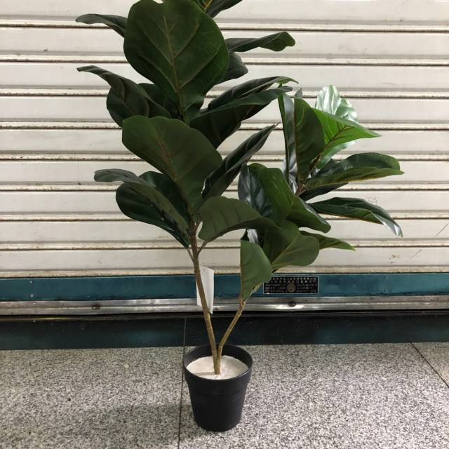 Factory direct simulation fiddle leaf ficus plant potted home office decoration wholesale single branch long branch thumbnail