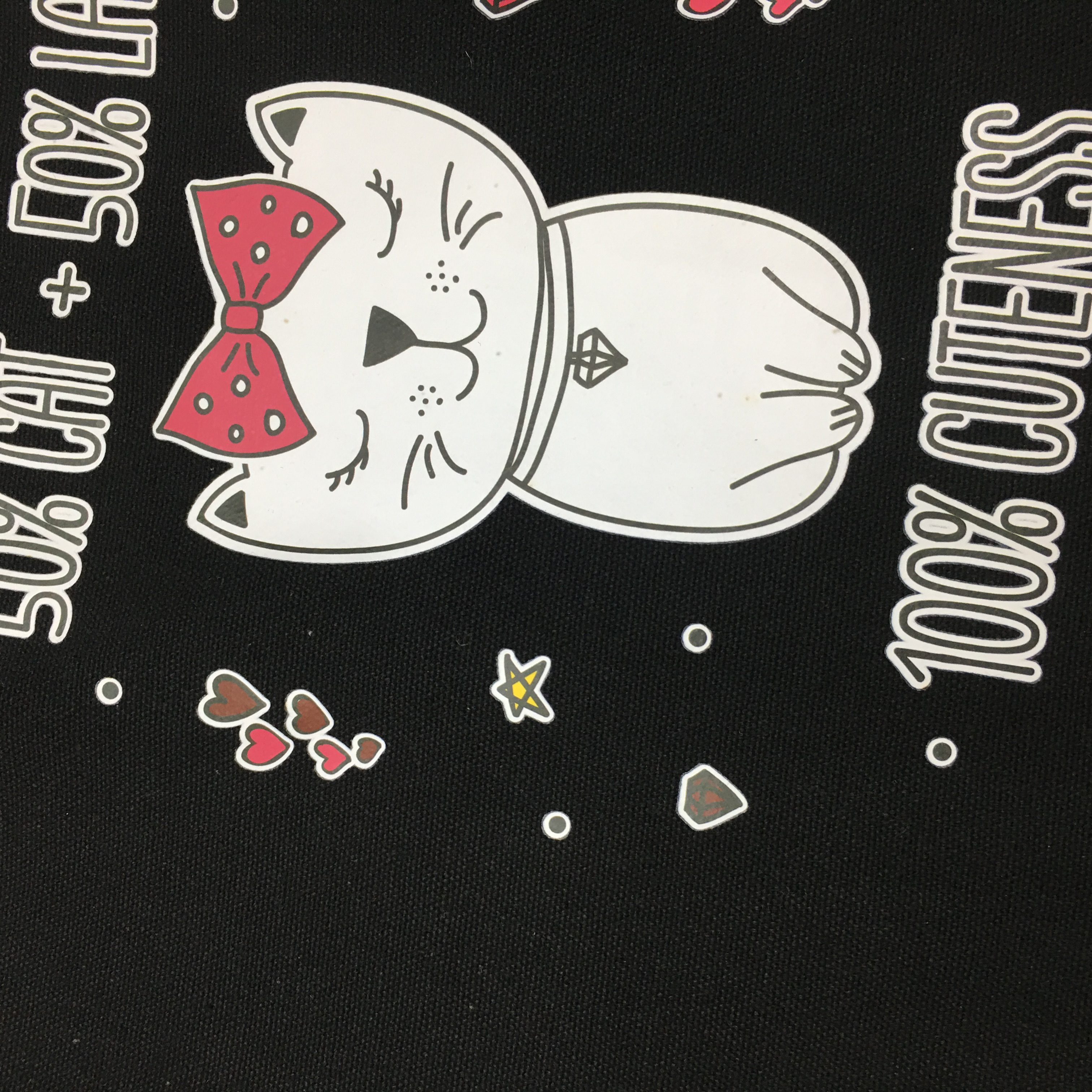 Ins Style Printed Canvas Bag Students All Harajuku Art Cloth Bag details Picture