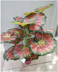 厂家自产自销仿真植物仿真叶子仿真竹盆景真竹竿竹尖批发