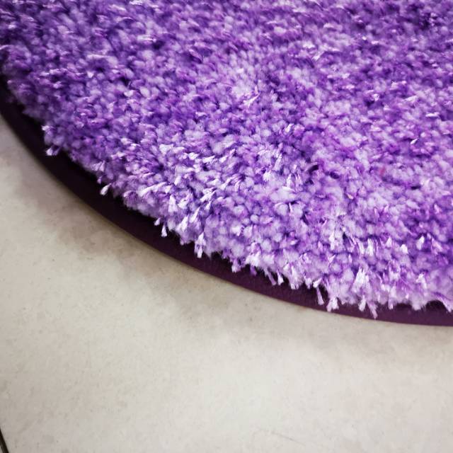 Door Mat Carpet Door Mat Absorbent Foot Mat Toilet Door Mat Bedroom Toilet Bathroom Non-Slip Mat Household Specification drawing