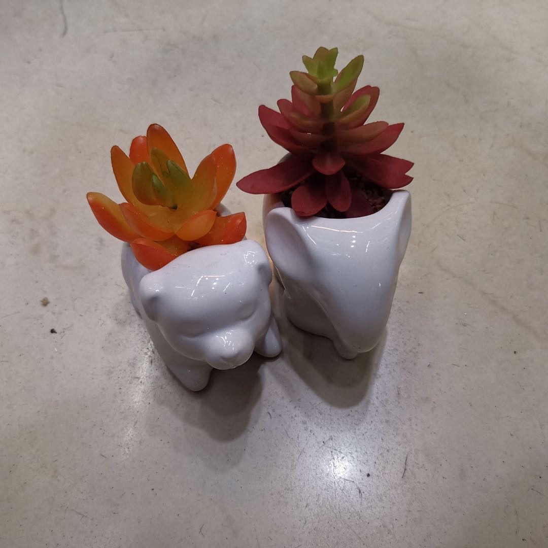 真盆栽动物白陶瓷多肉植物婚庆摄影道具144pc细节图