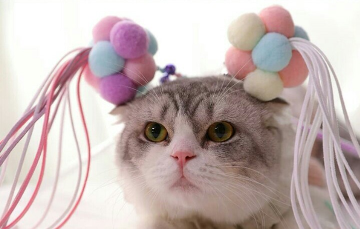 Three-color fur ball cat teaser for pet cats Specification image