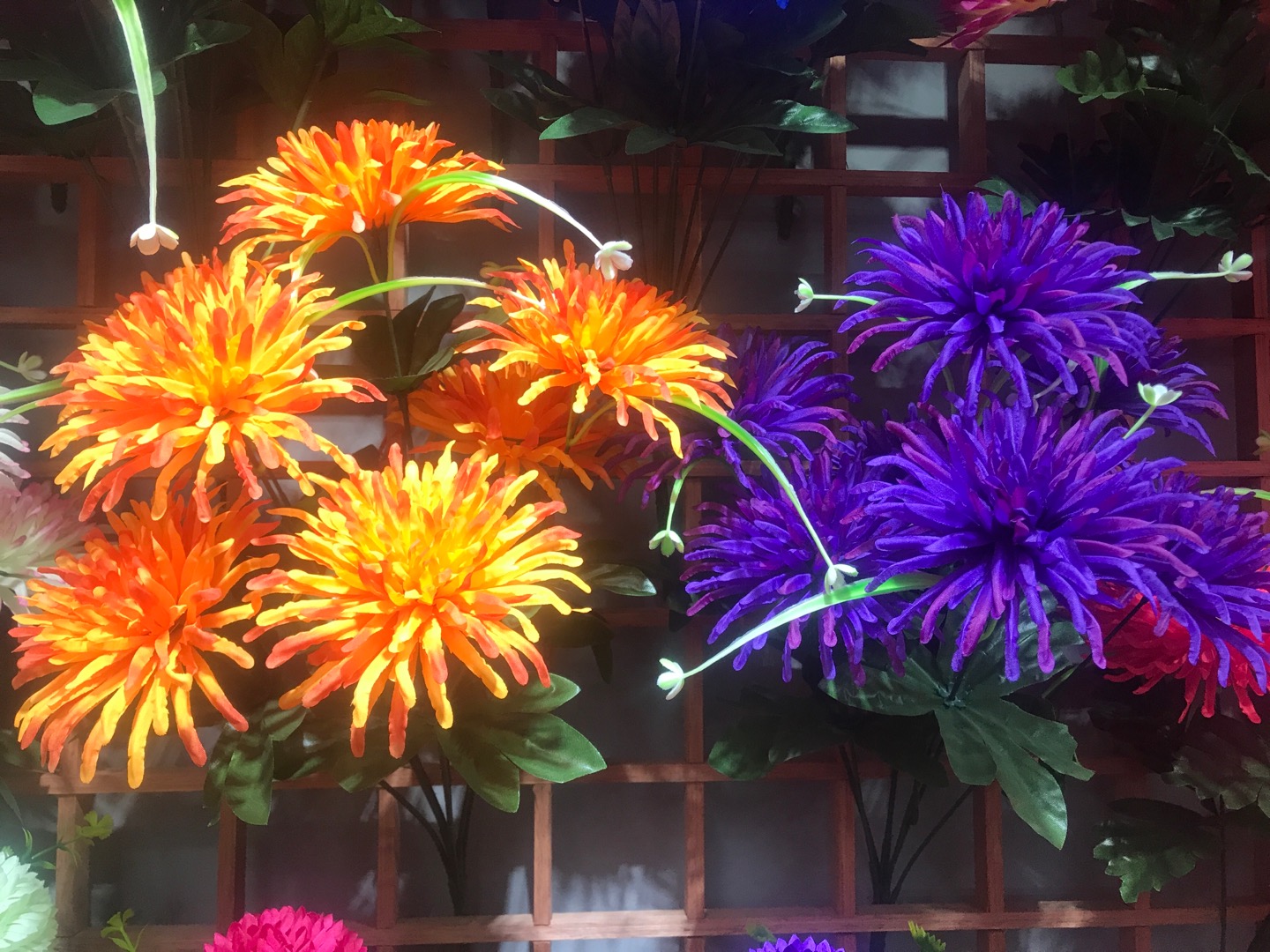 Jianying Flower Shop offers direct sales and wholesale of 7-head Peony Chrysanthemum from the manufacturer