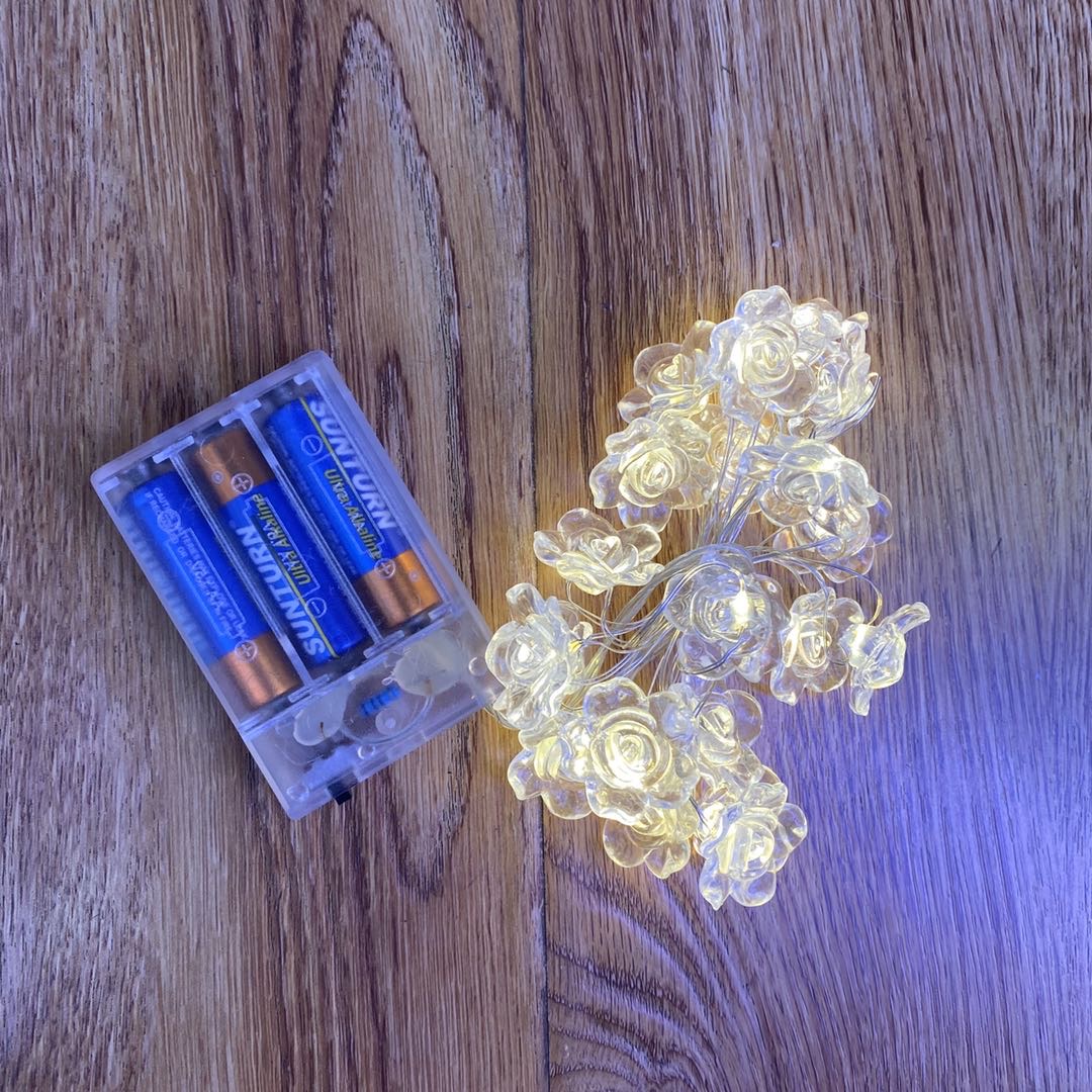 Rose lights 2m 20 lights LED lights Flashing lights string lights decorative lights net red lights