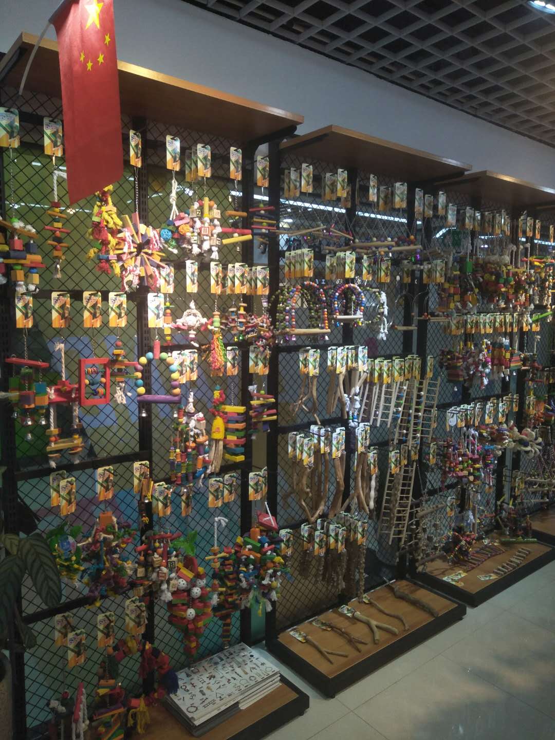 Madi Pet describe pic - 2