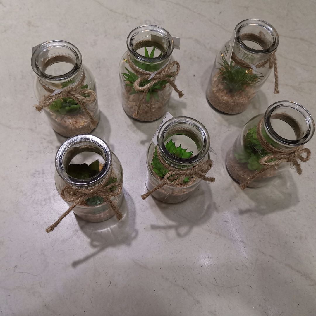 塑料玻璃瓶仿真花多肉家居摄影摆件装饰