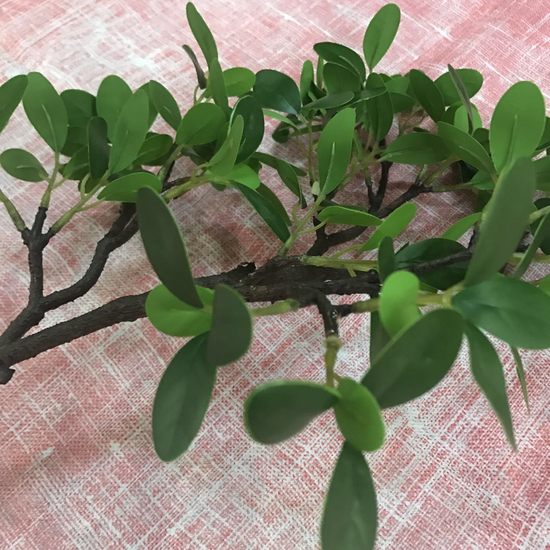 圣艺工艺51cm富贵榕室内塑料绿植装饰花摆件细节图