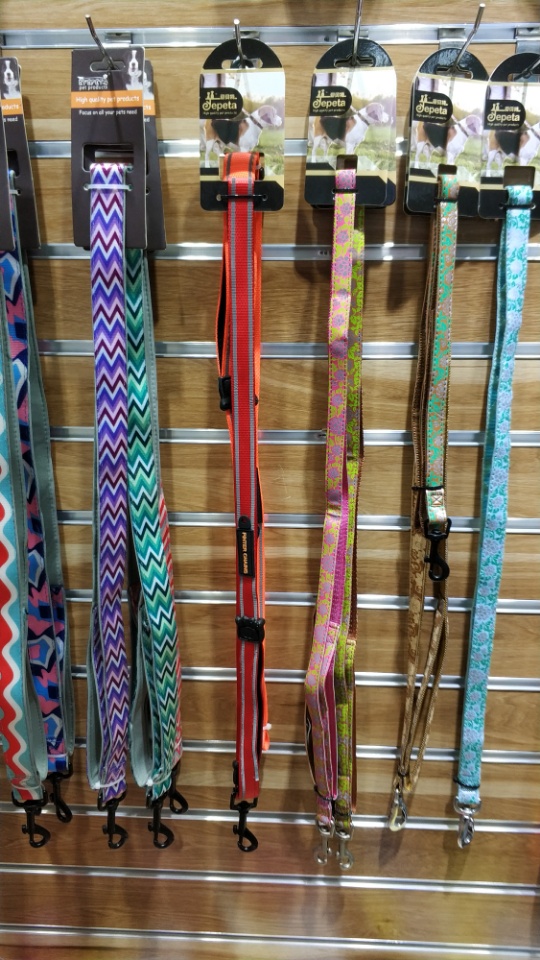 Striped and colorful pet leash
