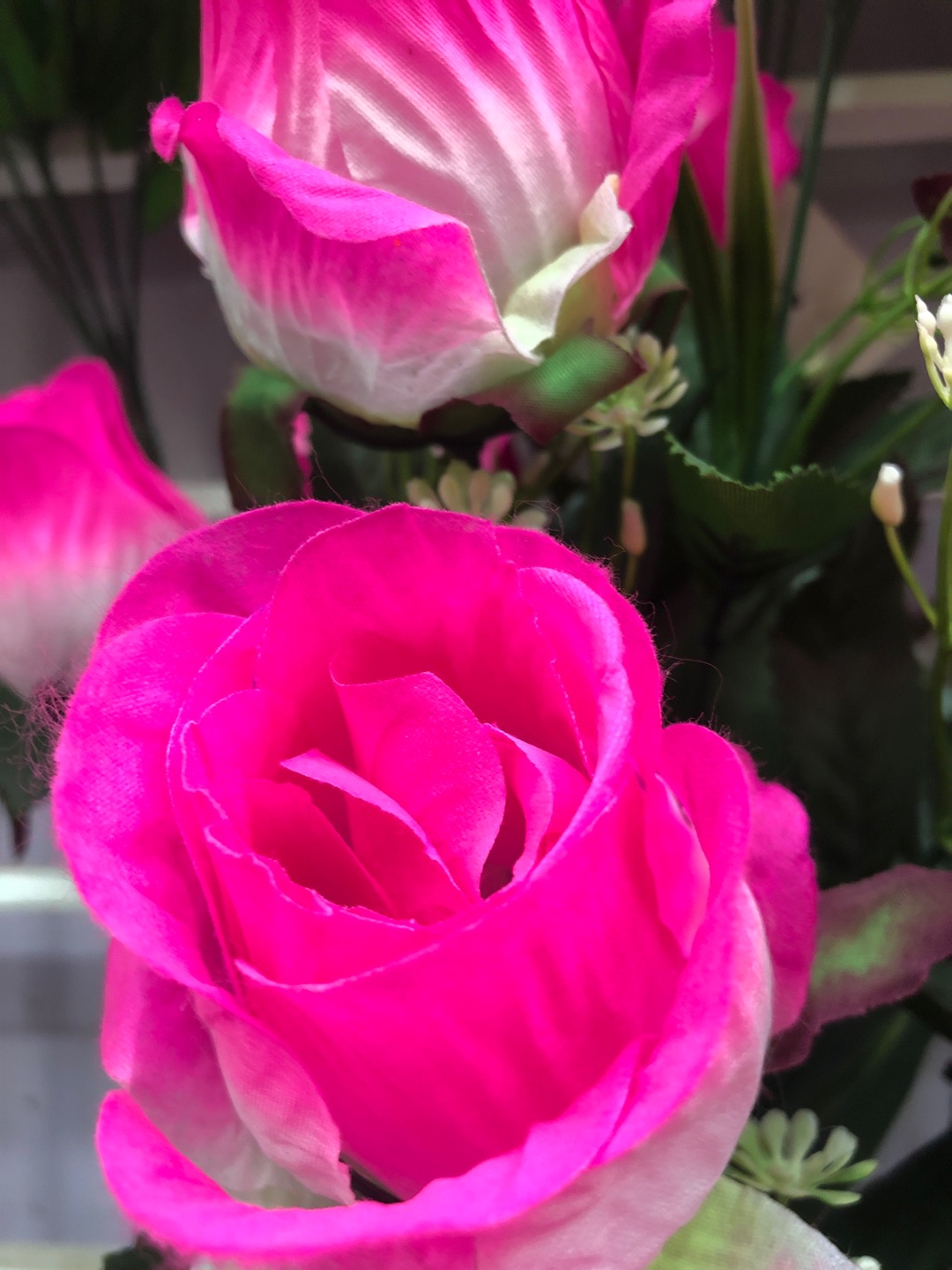 Yuxin Flower Shop offers direct sales of 9 large-leaf peacock buds from the manufacturer Specification image