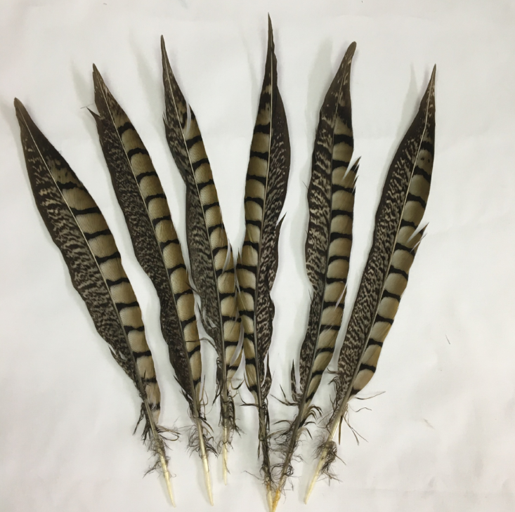 彩色郁金香毛绒配件/缝纫机配件/高弹毛球5厘米/鸡毛羽毛/眼睛产品图