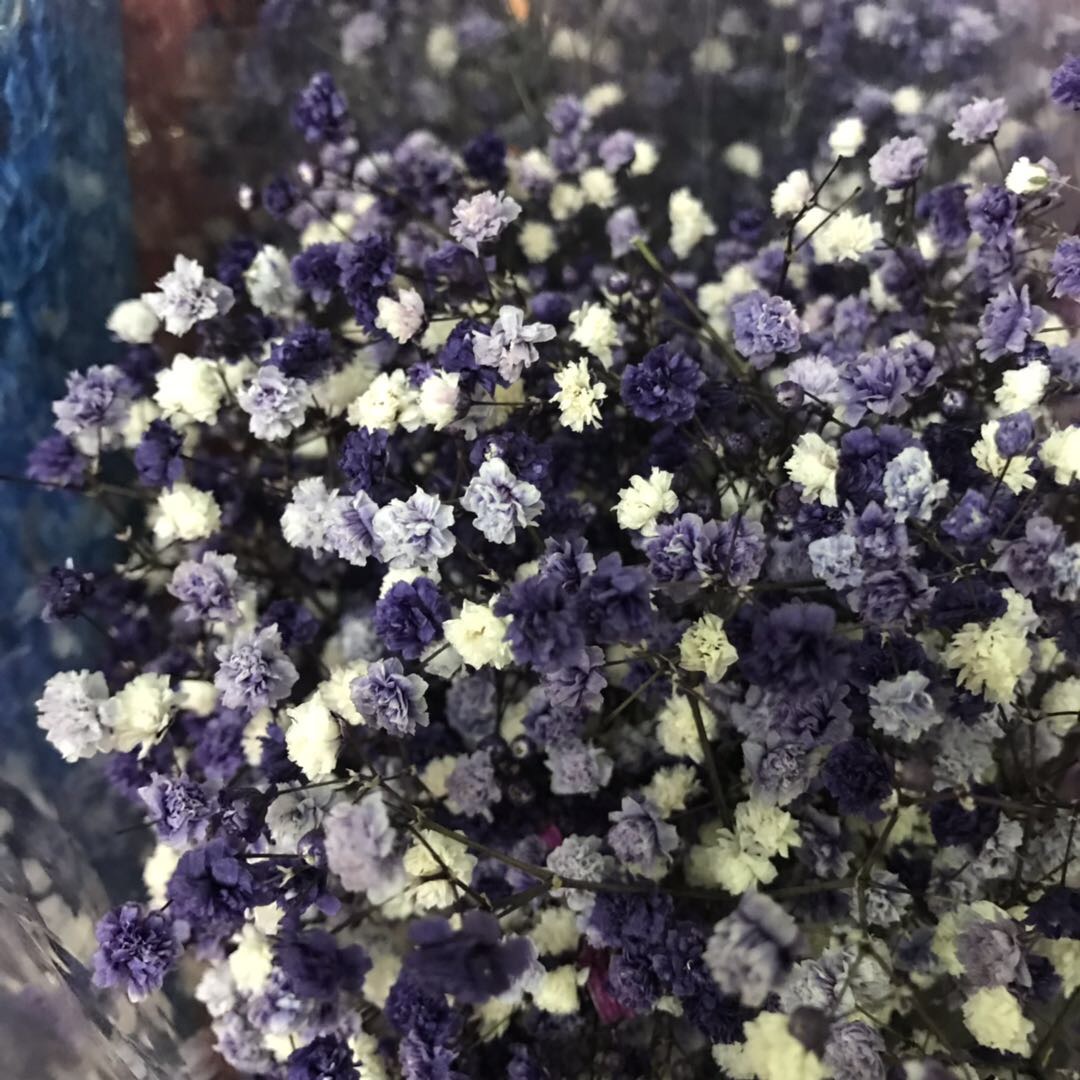 Multicolored sky flower bouquet of dried flower vase of flowers Forget-me-not living room ornament
