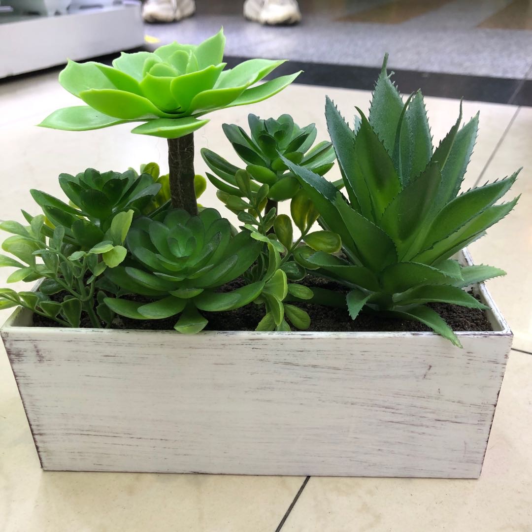 厂家直销仿真多肉仿真绿色植物家居装饰办公室摆放
